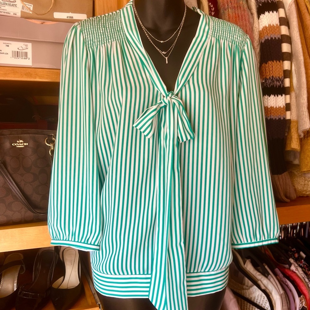 The Limited Green and White Smocked Tie Front Blouse